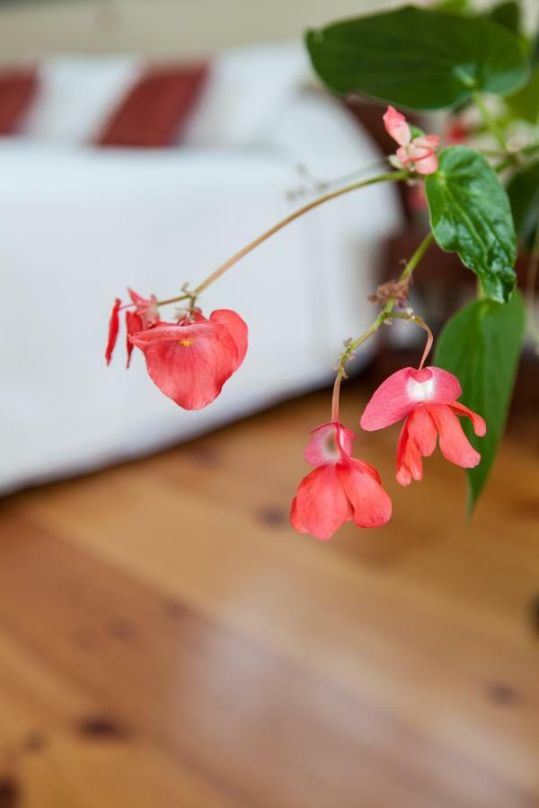 Bed and Breakfast Whitford House And Twin View Barn Addison Esterno foto